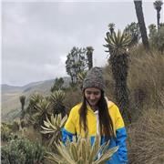 ¡Las mejores clases de: Francés/ Inglés/ Refuerzos de cualquier seminario escolar!